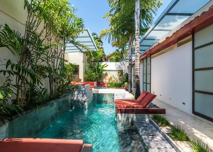 Bali Ginger &